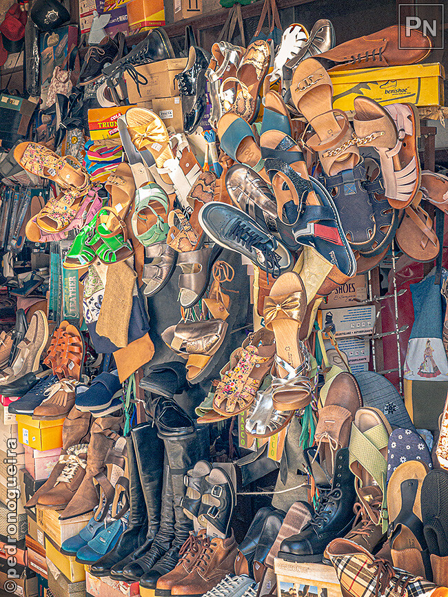 Jul_2023_016 650px.jpg