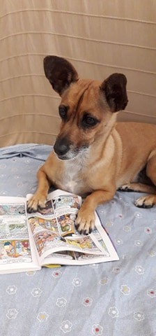 leituras de verão.jpg