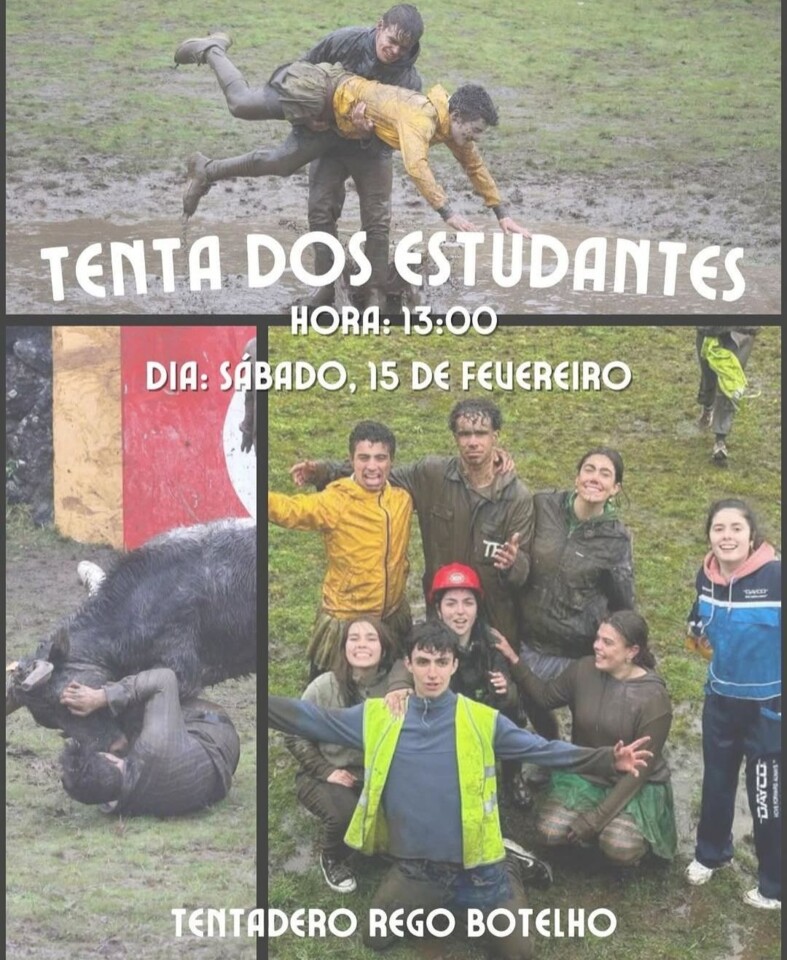 Cartaz Tenta.jpg