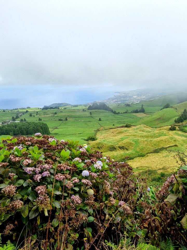 Miradouro do Pico do Carvão.jpeg