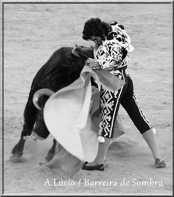 IMG_6710.JPG IMG_6710.JPG