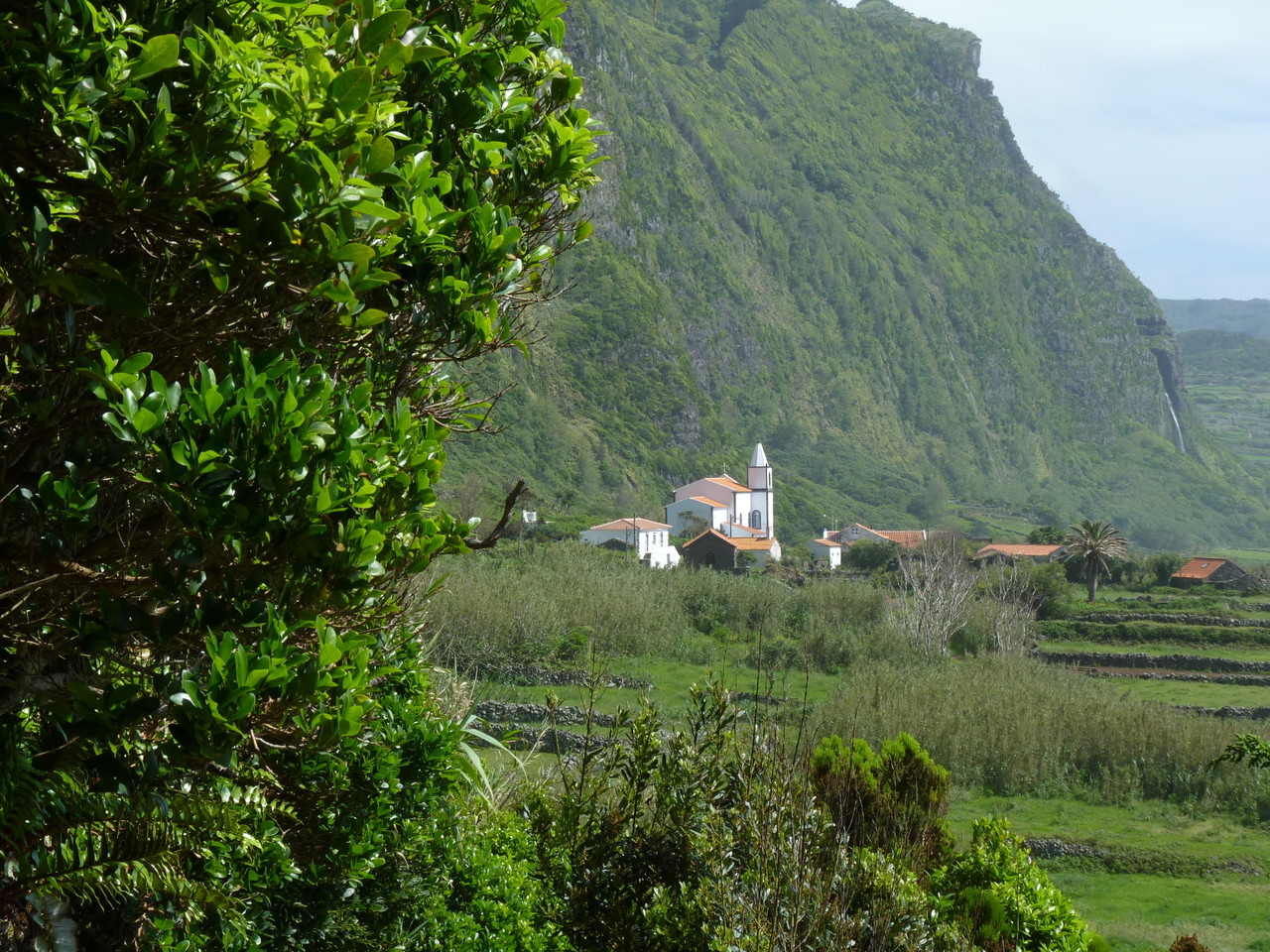 Ponta da Fajã 3.JPG