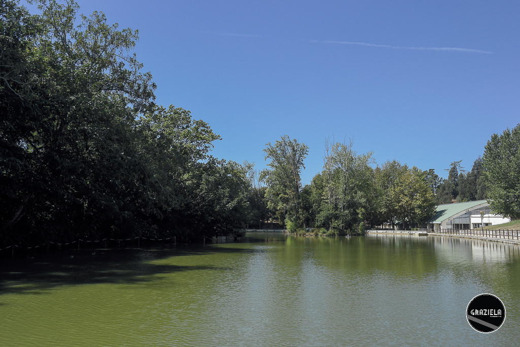 Luso_Bussaco-4007.jpg Luso_Bussaco-4007.jpg