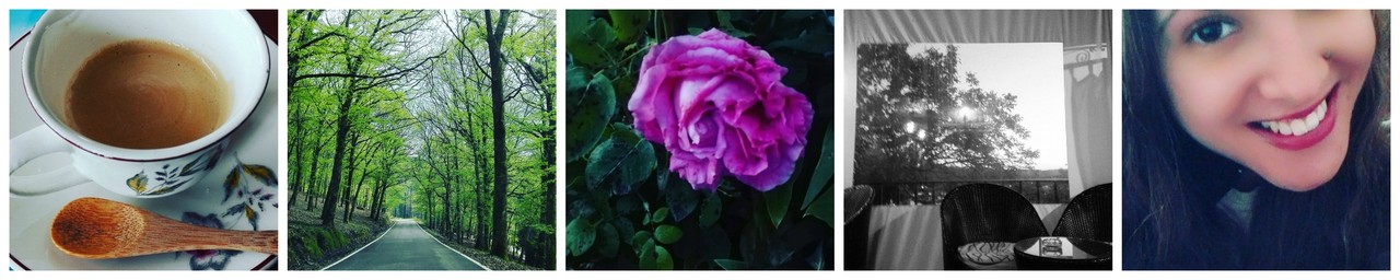 PicMonkey Collage8.jpg