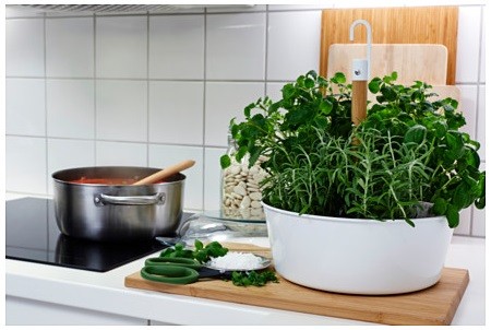 bittergurka-floreira-suspensa-branco__0311162_PE42