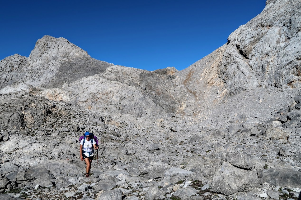 IMG_0467.JPG IMG_0467.JPG