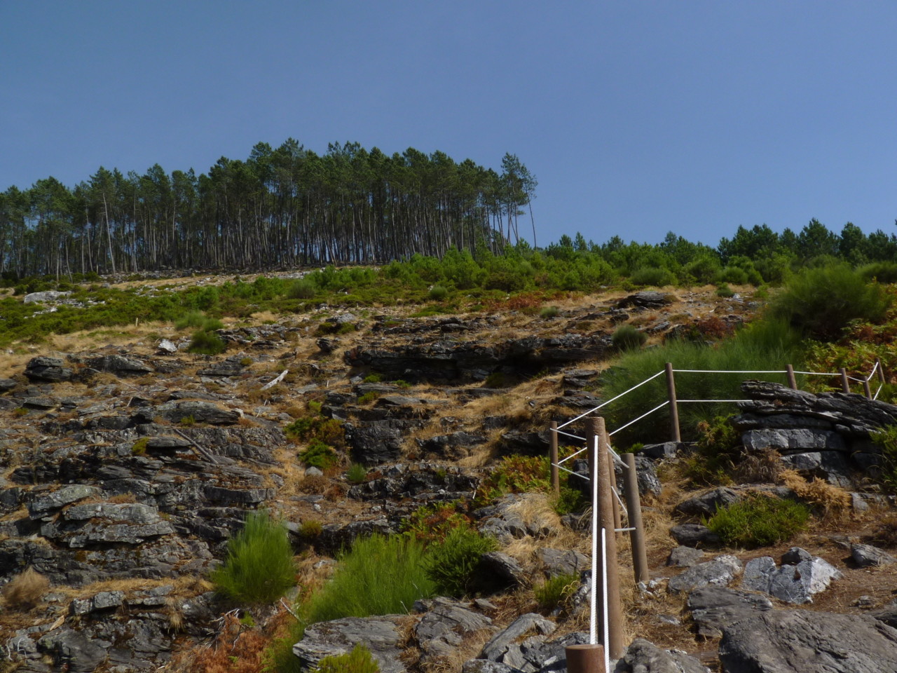 Ermelo (5).JPG Ermelo (5).JPG