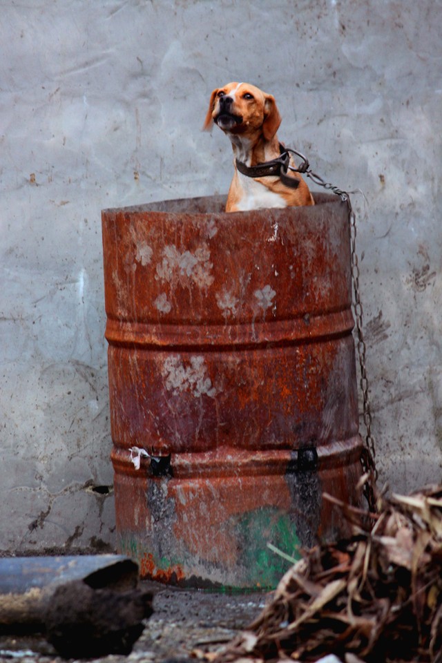 IMG_6460 bl.jpg IMG_6460 bl.jpg