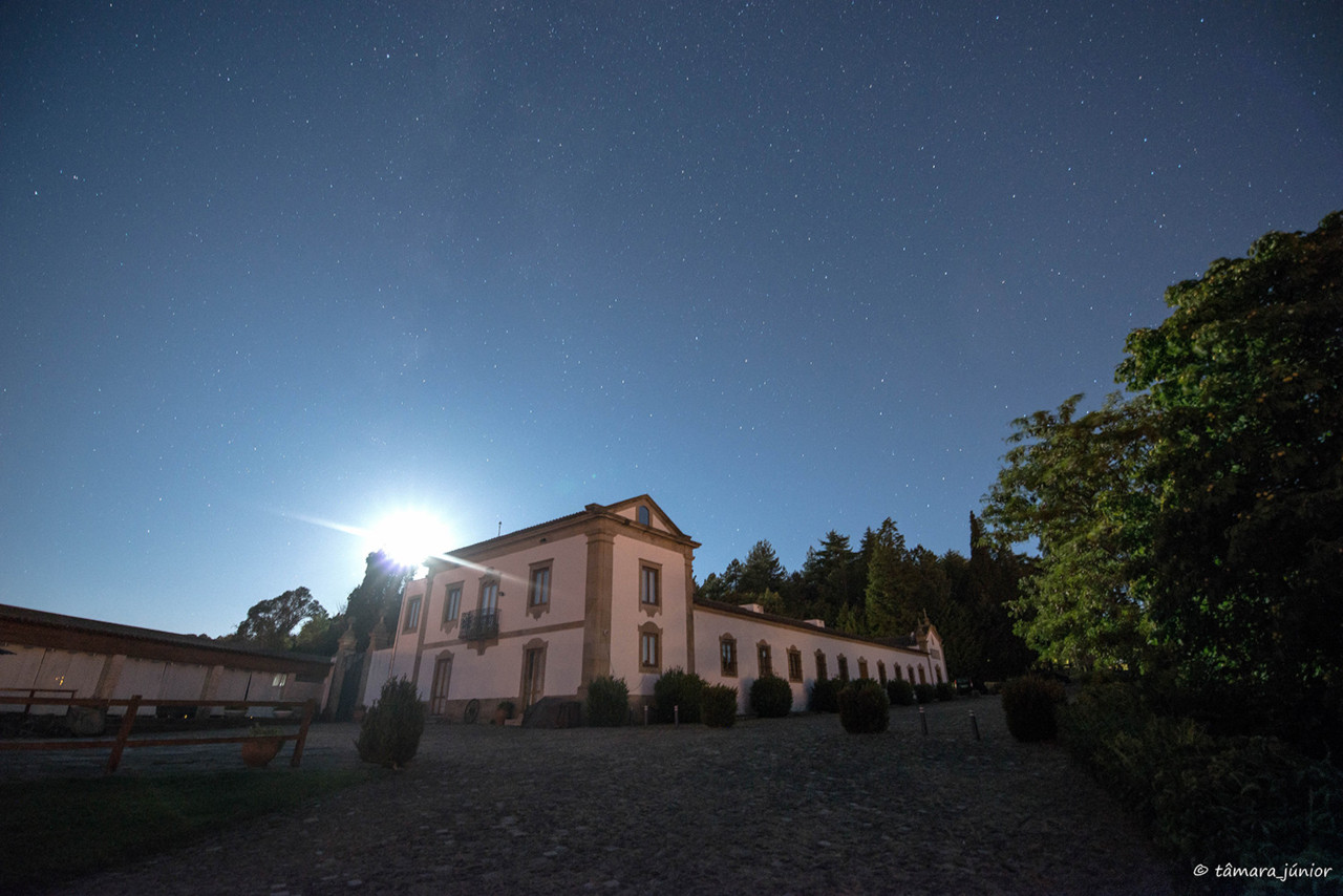 ASS_2300.jpg ASS_2300.jpg