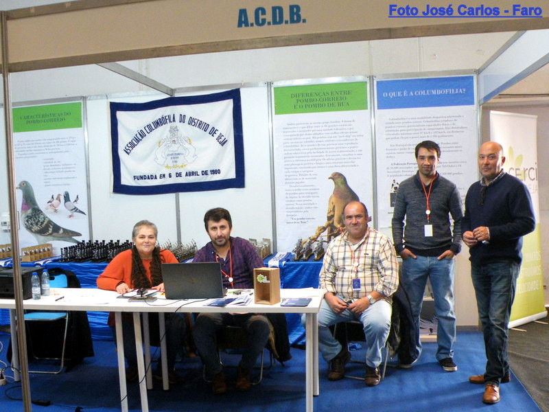 Feira Ibérica Beja 2018 024.JPG Feira Ibérica Beja 2018 024.JPG