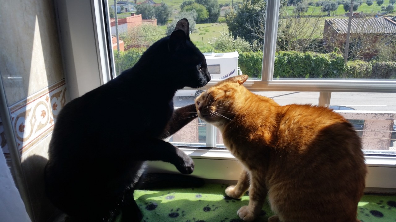 20190314_122348.jpg 20190314_122348.jpg