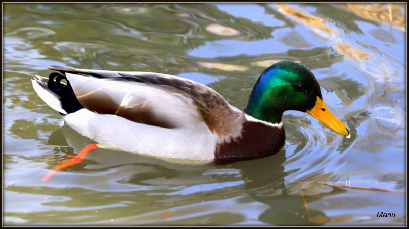 IMG_9535.JPG IMG_9535.JPG