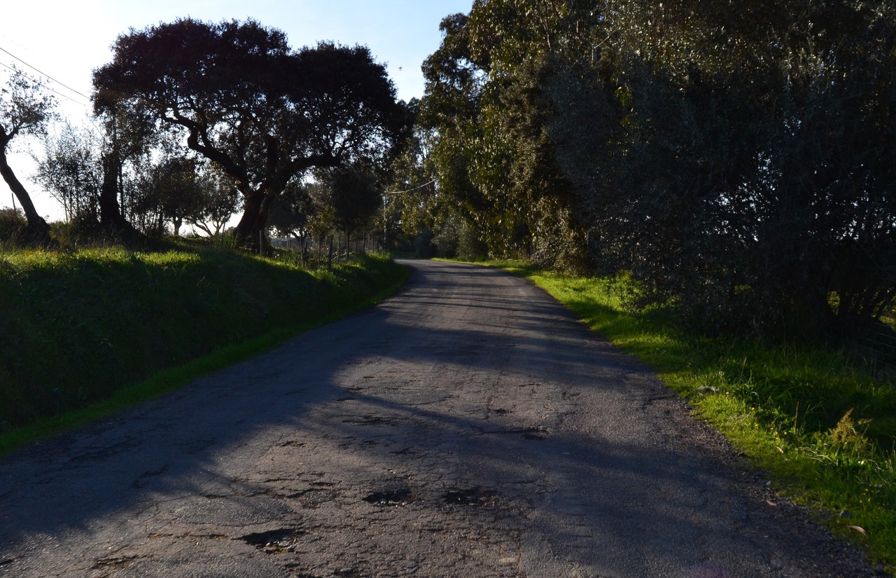 Estrada Porto Peles 2.JPG