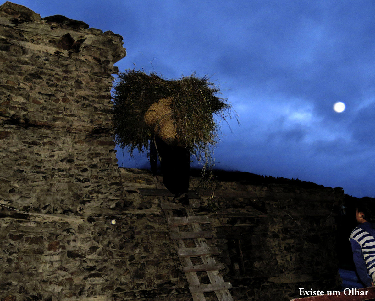 IMG_0666a.jpg IMG_0666a.jpg