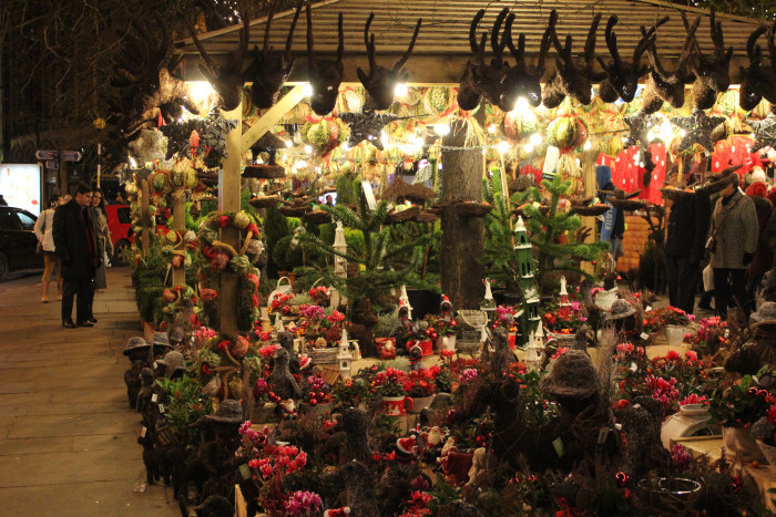 img_1530.jpg img_1530.jpg