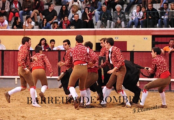 barreira de sombra16-16-30-DSC_9773.JPG barreira de sombra16-16-30-DSC_9773.JPG