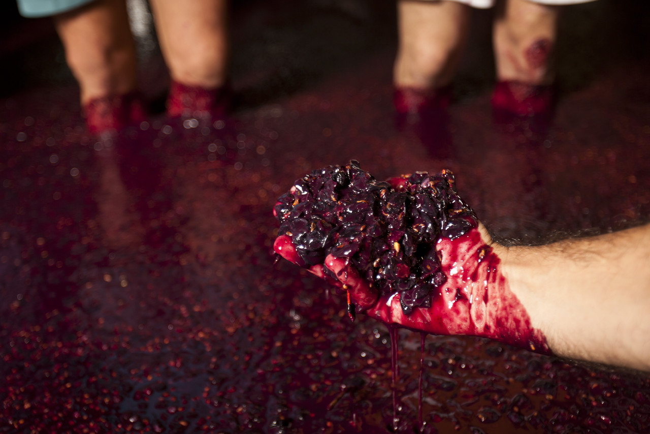 _MG_9910.jpg _MG_9910.jpg