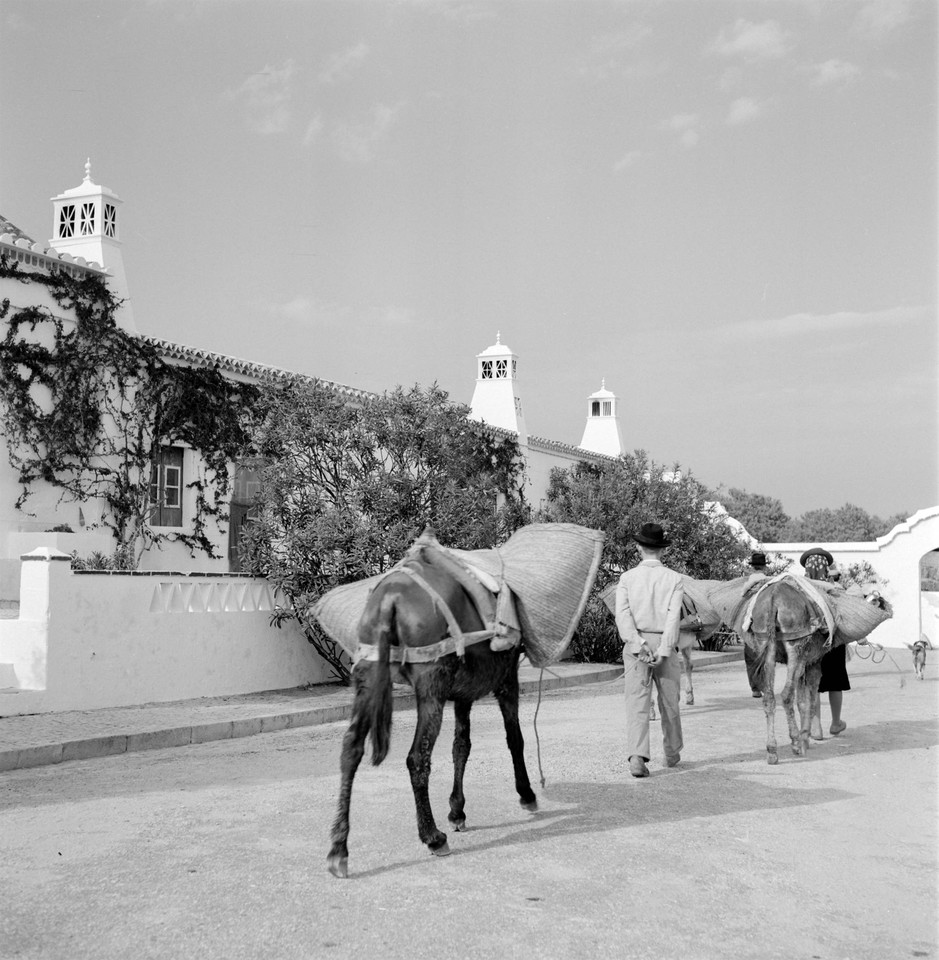 Arre burro!, Algarve (A. Pastor, s.d.)