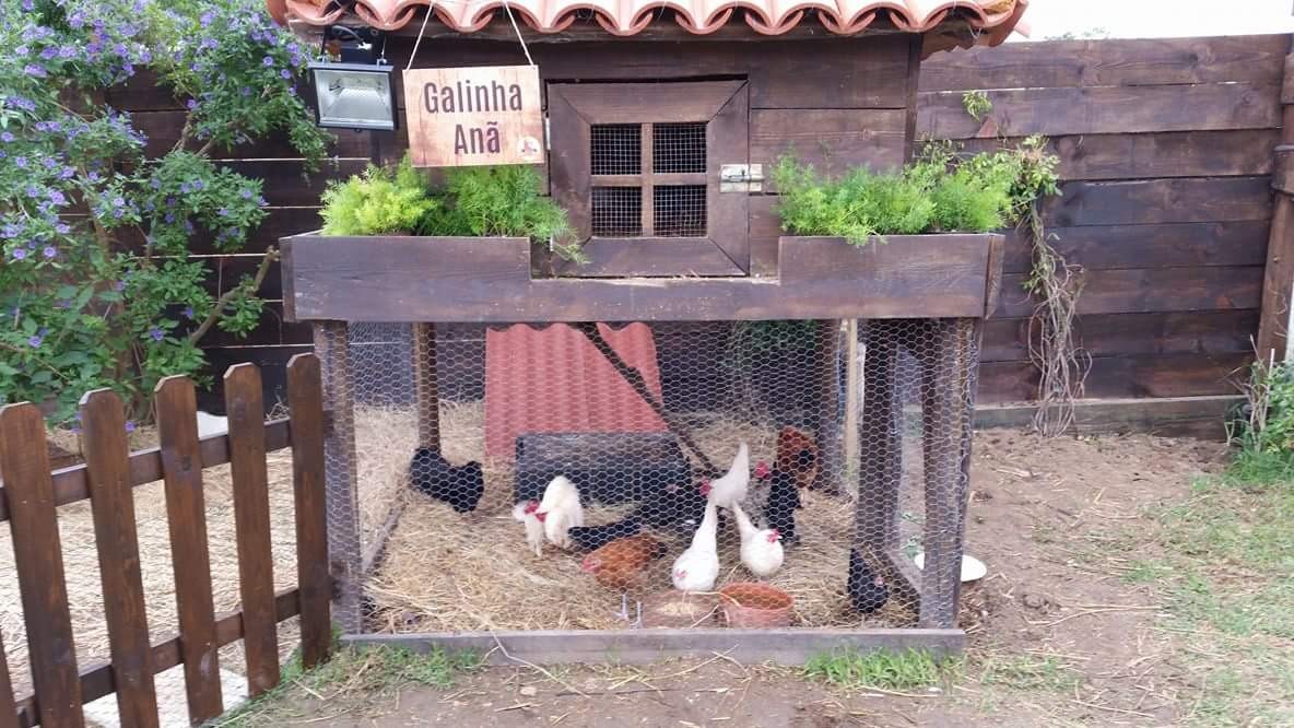 received_10202171511486410.jpeg received_10202171511486410.jpeg