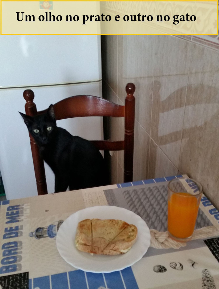 olhonopratogato.jpg olhonopratogato.jpg