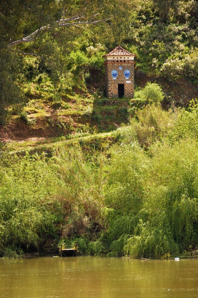 DSC_1378.jpg DSC_1378.jpg