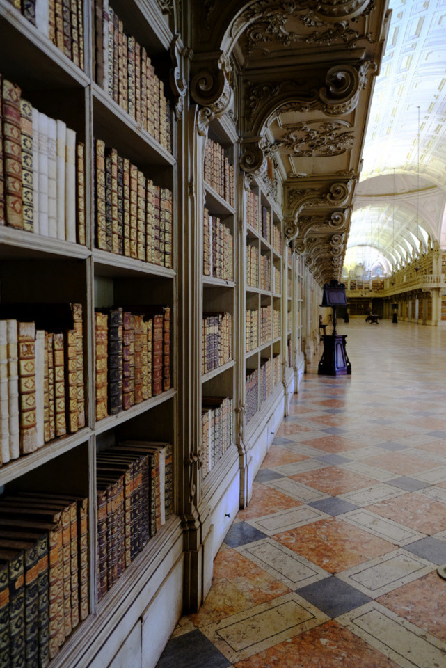 DSCF1193.jpg DSCF1193.jpg