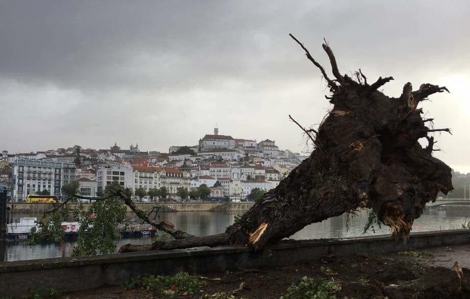 44086328_2113428858682053_6922162872151703552_n.jp