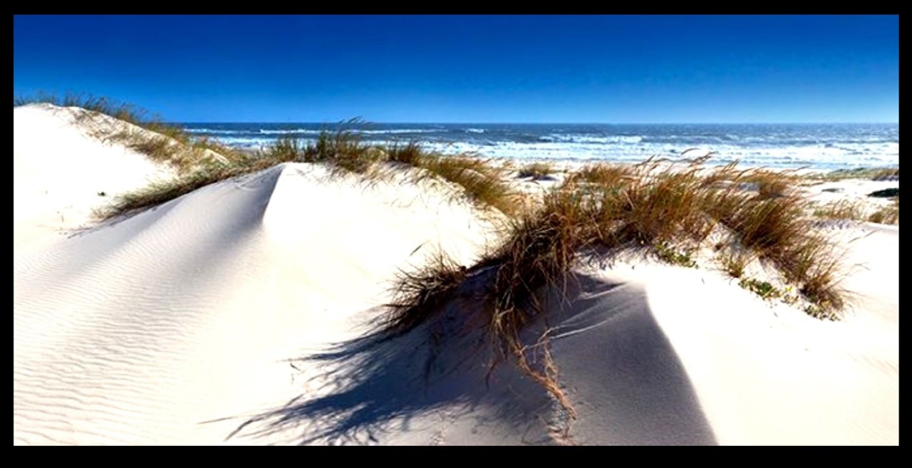 Tópicos aos Molhos.jpg