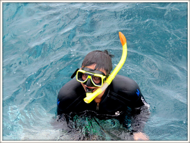 IMG_6953 mergulhador.JPG