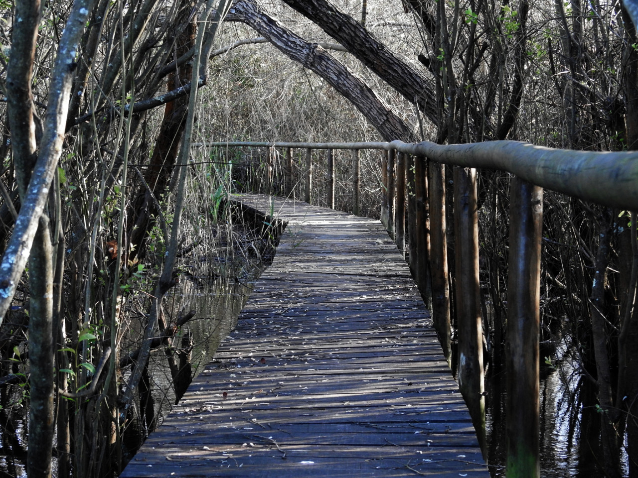 Lagoa da Estacada - Sesimbra (20-02-2016).JPG
