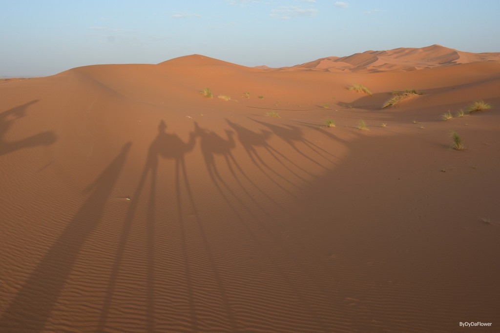 deserto.jpg