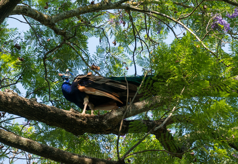 DSC00116.jpg DSC00116.jpg