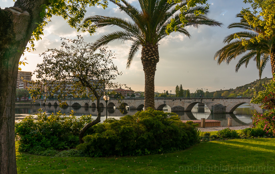 DSC02197.jpg DSC02197.jpg