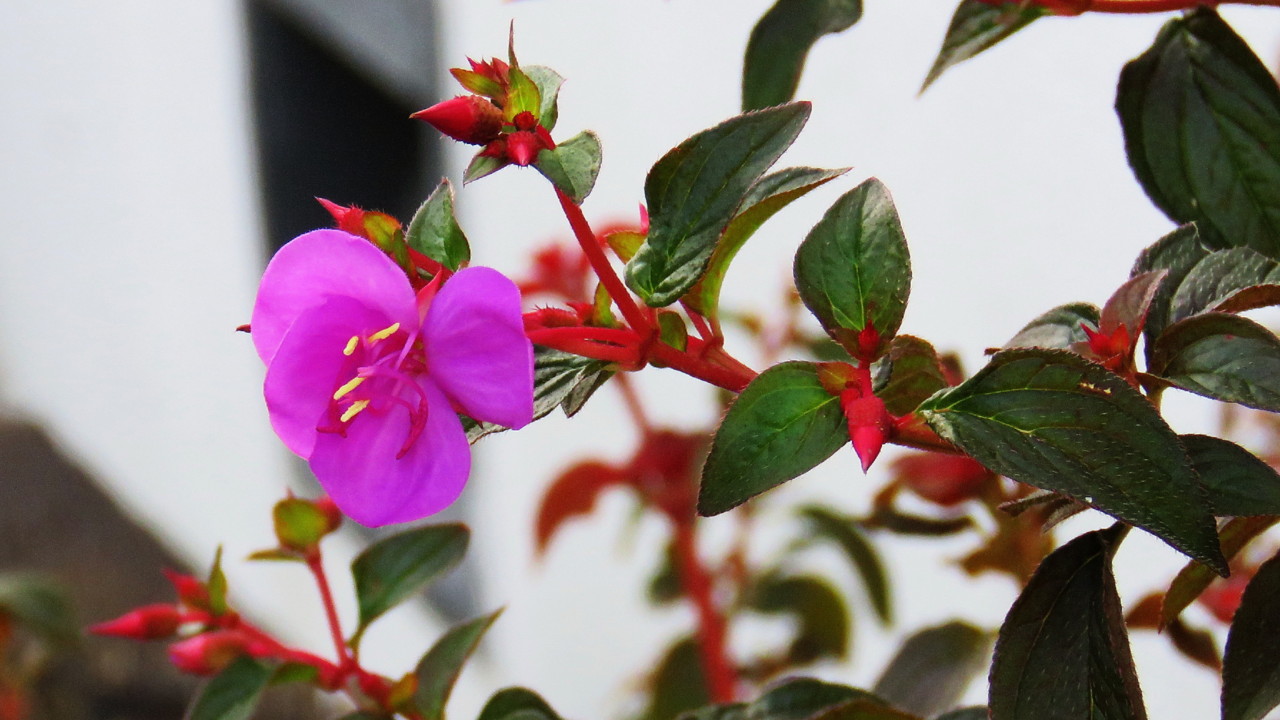 2017-12-25 16-33-50_0438.jpg