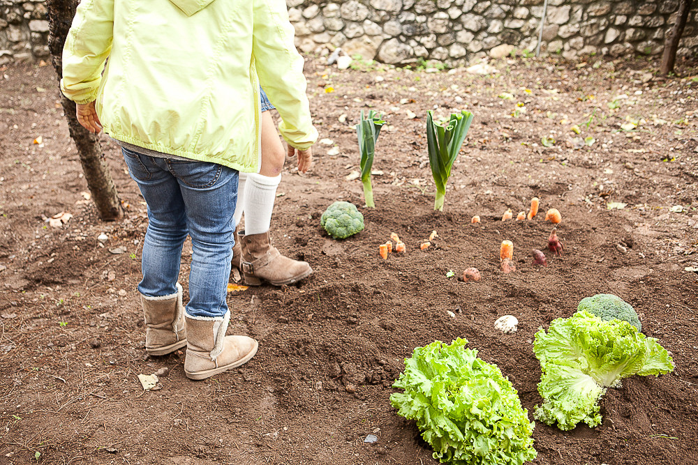 IMG_1279.jpg IMG_1279.jpg