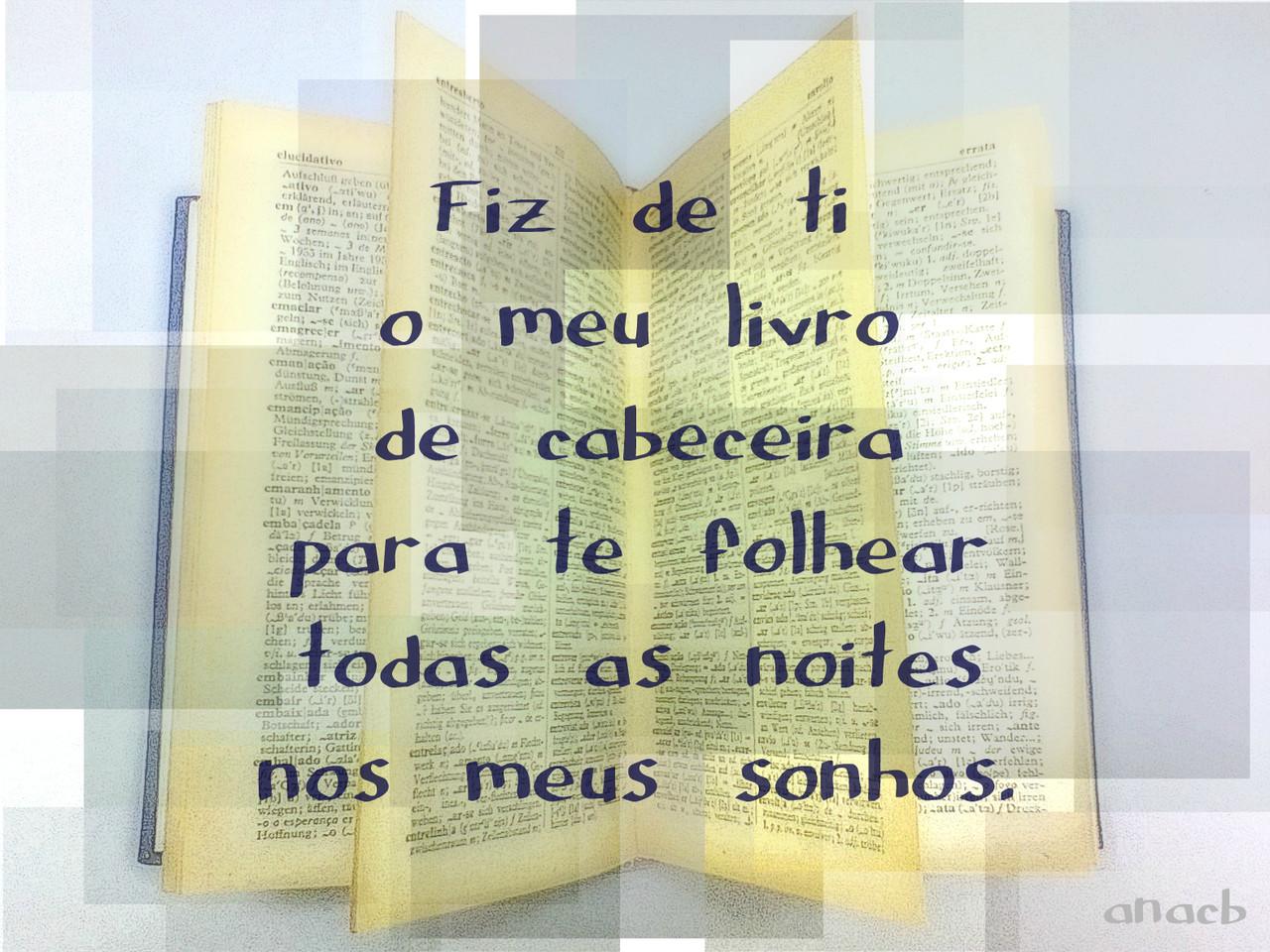 Livro de cabeceira.jpg