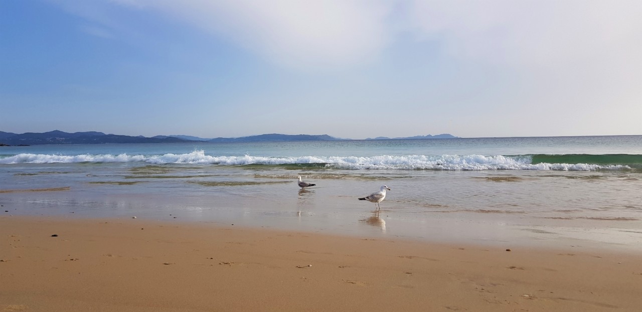 20190420_192854.jpg 20190420_192854.jpg