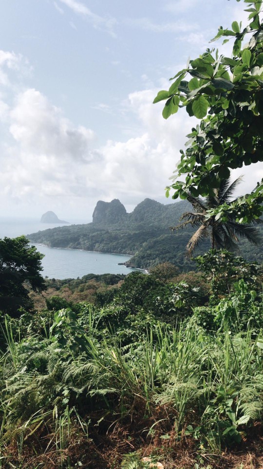 2fb5b387-dfca-499a-925e-d701fb787f51.JPG 2fb5b387-dfca-499a-925e-d701fb787f51.JPG