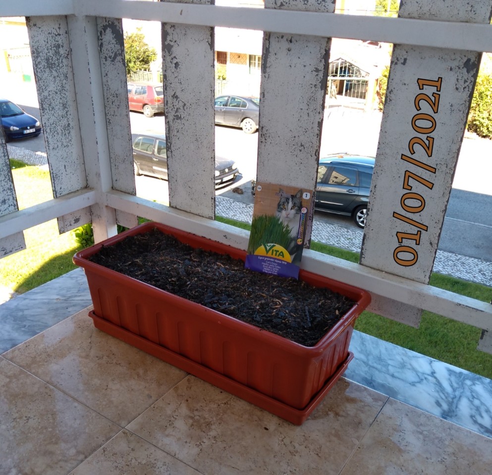 SquarePic_20210701_18130835.jpg SquarePic_20210701_18130835.jpg