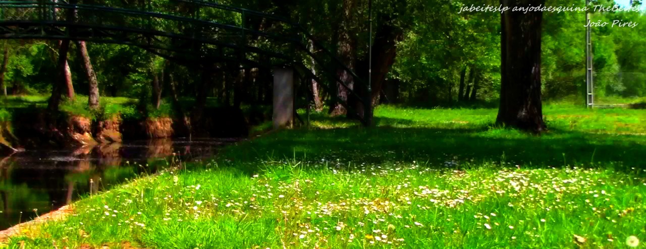 8  Praia Fluvial da Benquerença.jpg