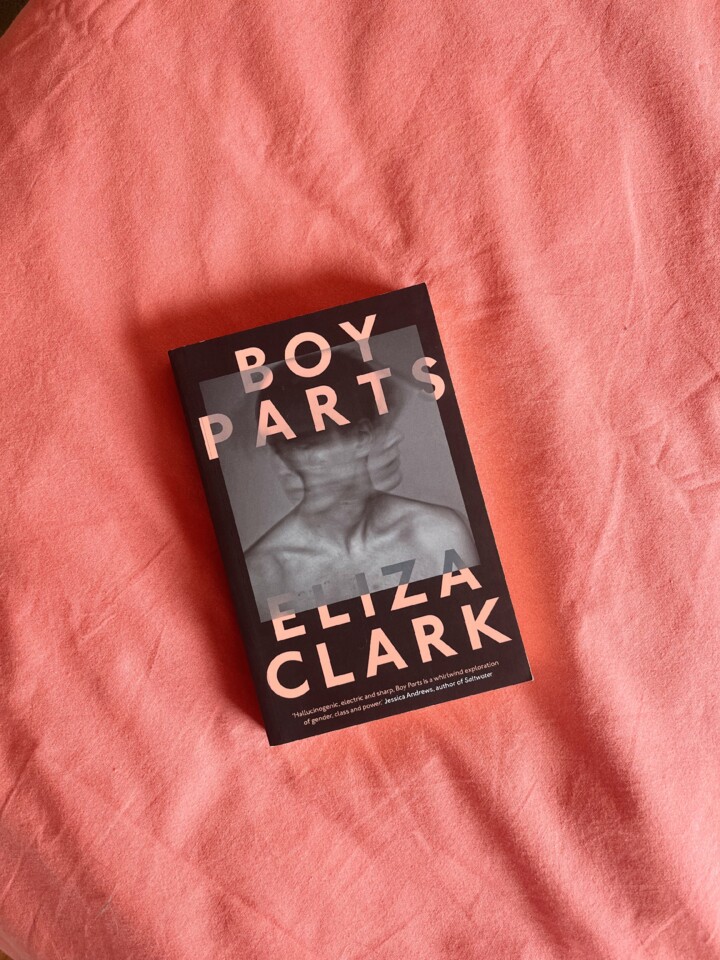 boy-parts-eliza-clark.JPG