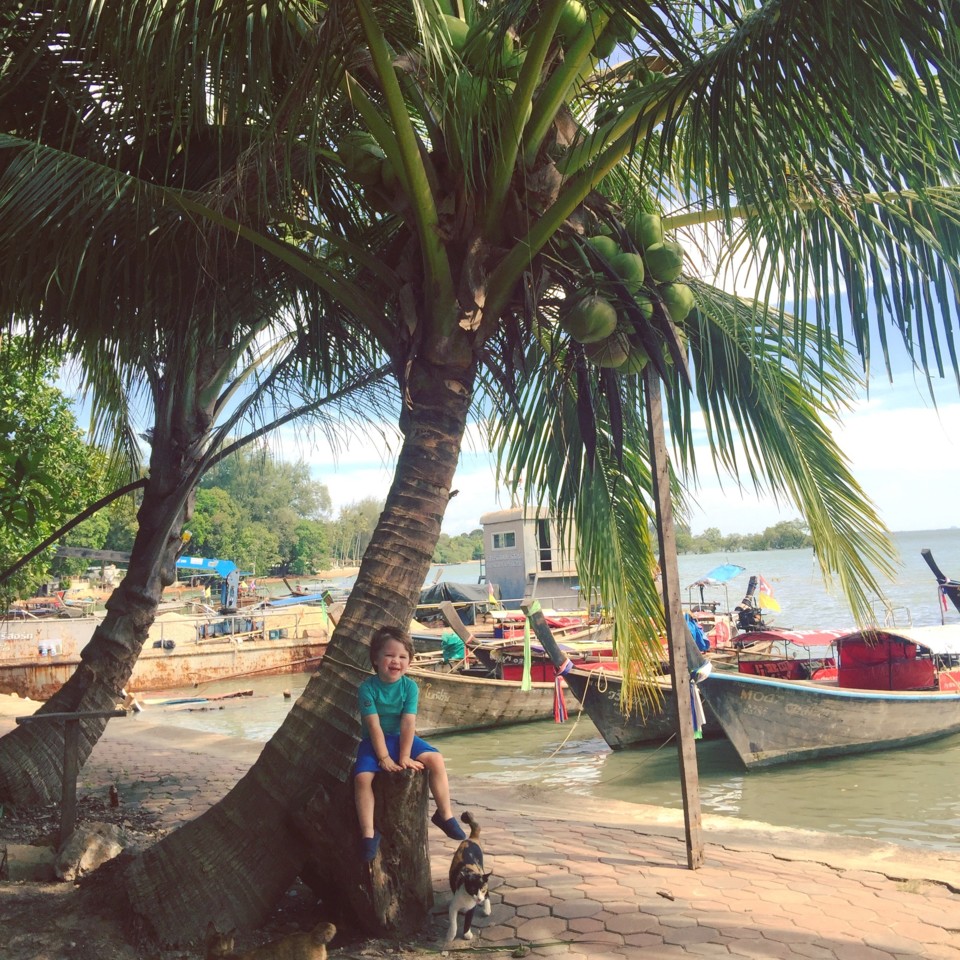 0DAE44CA-83C5-4E0E-8223-DDD1657FD9DF.jpeg 0DAE44CA-83C5-4E0E-8223-DDD1657FD9DF.jpeg