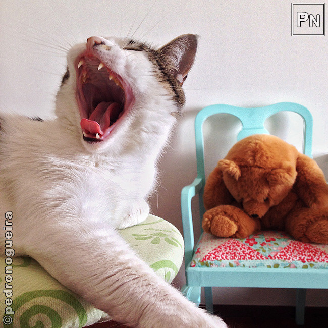 Abr_2018_040a 650px.jpg