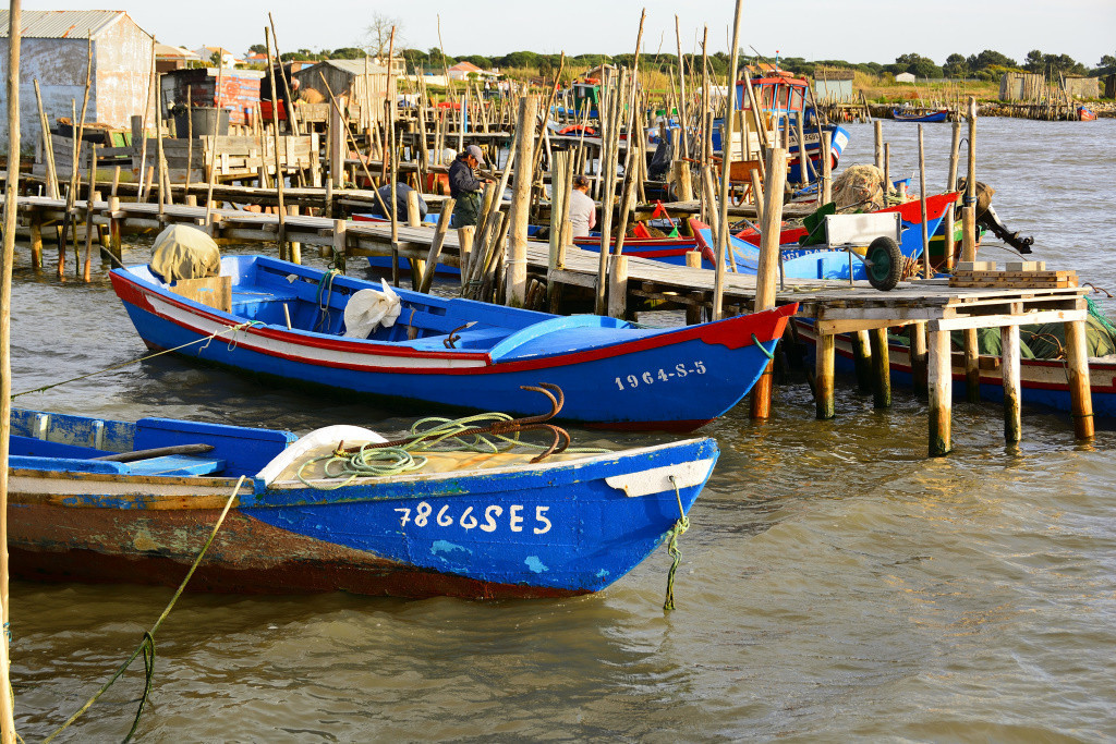 DSC_2918_01_00012.jpg DSC_2918_01_00012.jpg