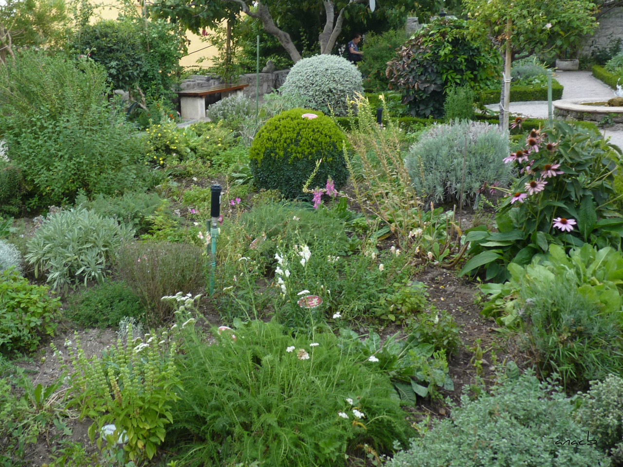 P1380898 cópia assin.jpg