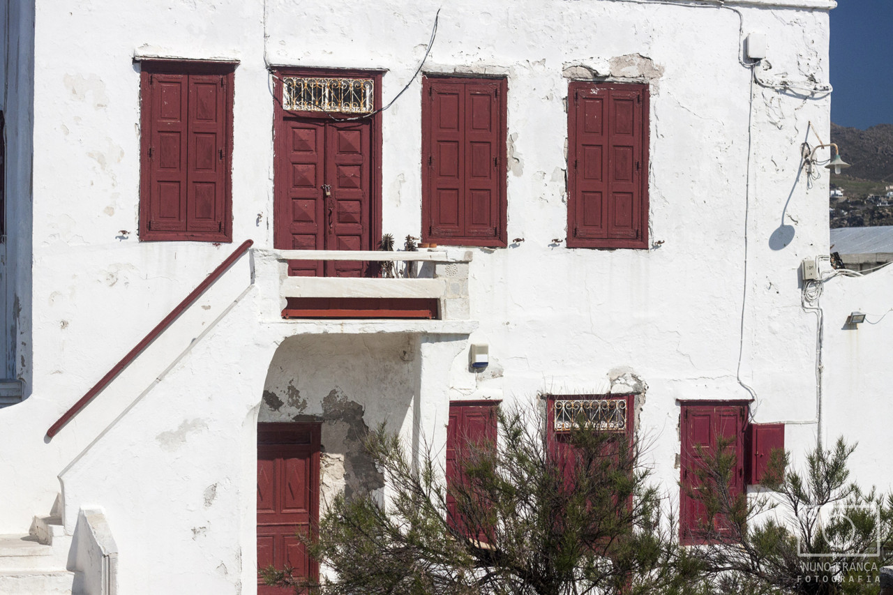 IMG_5852_net_redimensao.jpg IMG_5852_net_redimensao.jpg