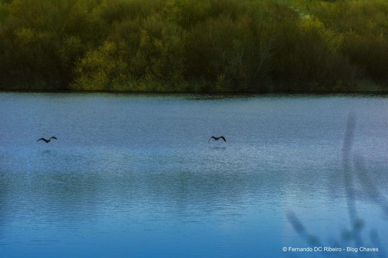 1600-tamega (196).jpg