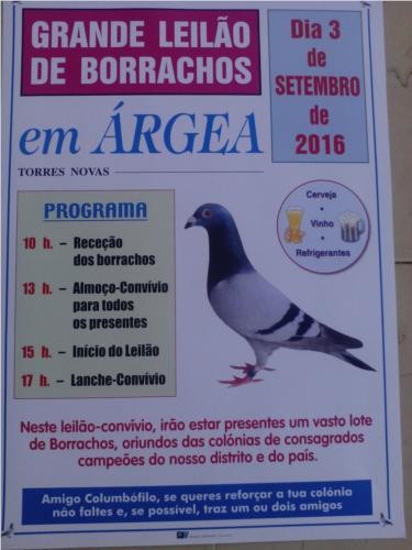 Árgea.jpg Árgea.jpg