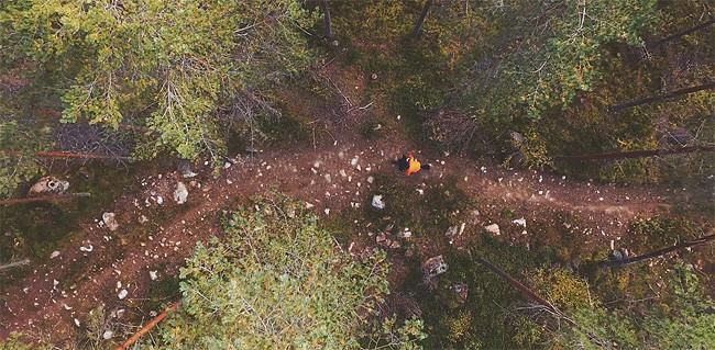 Not Far From Home.jpg