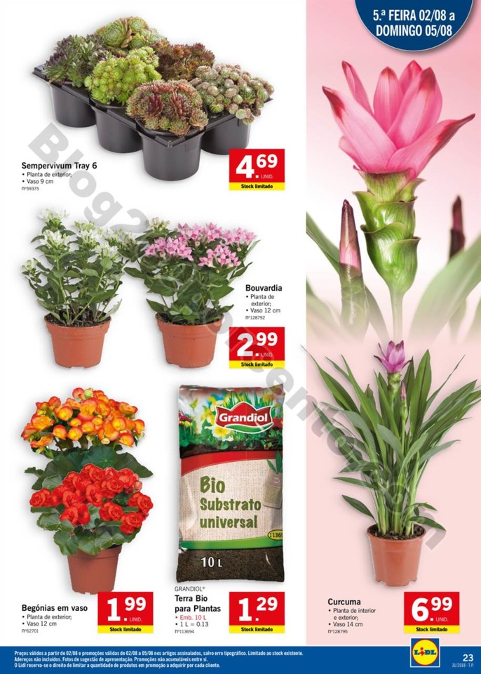 Lidl_30_julho_a_5_agosto_022.jpg